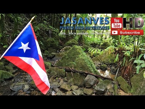 Awesome Landscape and Pure Sounds of El Yunque National Rainforest, Puerto Rico