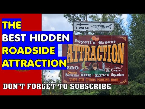 THE BEST HIDDEN ROADSIDE ATTRACTION IN CENTRAL FLORIDA | DINOSAUR PARK | CITRUS STAND |#BFA