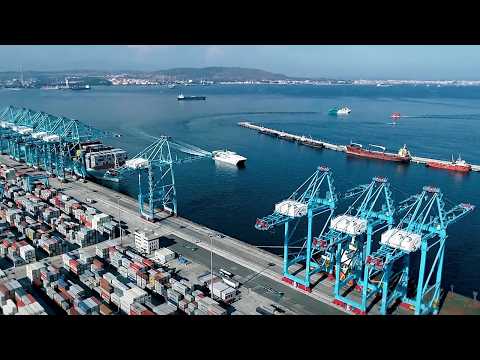 APM Terminals Algeciras: 40 años al ritmo del mundo