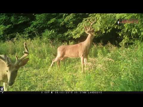Outstanding Hunting Property With Good Income For Sale In Putnam County Illinois