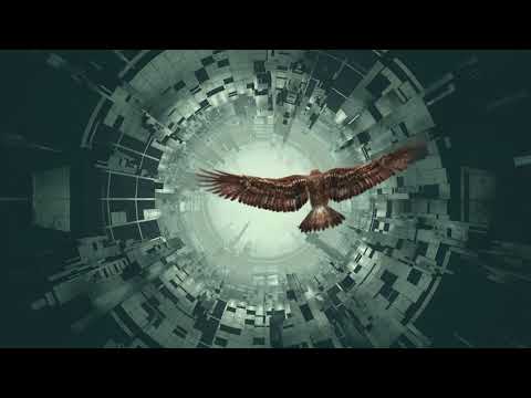 4kings1war Music Video Tiki Taane