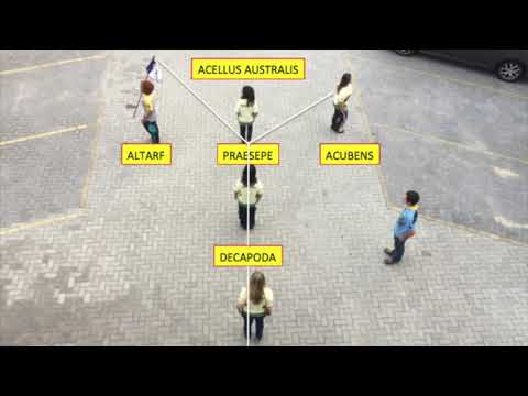 MARCHA CONSTELAÇÃO CANCER / VICUÑAS DIRETORIA