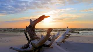 Charleston, SC Ad Video | by Caroline Unger