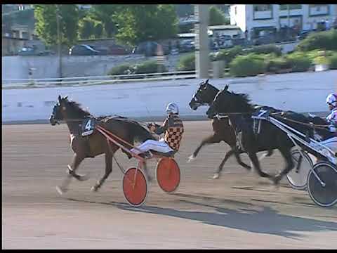 Trotto 27/06/2020 - 2ª corsa