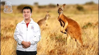 Animatronic Australia: The Kangaroo