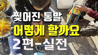 찌져진통발 2편 - 실전