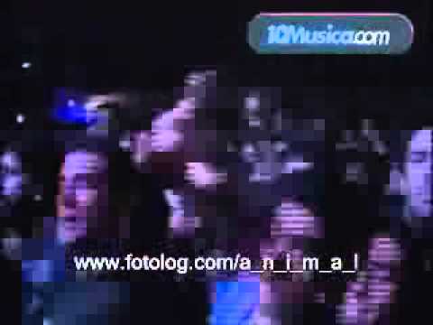 A.N.I.M.A.L - Sol y Guerreros Urbanos Pepsi Music 2005