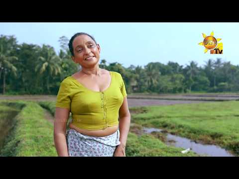 Hiru TV Sasara Sewaneli Poya Drama | EP 17 | 2018-11-22