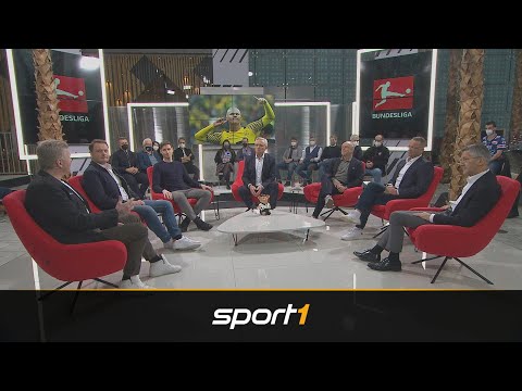 Bayern-Boss lässt sich bei Haaland festnageln | SPORT1 - STAHLWERK Doppelpass