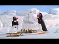 Pingu S05e13 Pingus Ice Sculpture Dvdrip Xvid