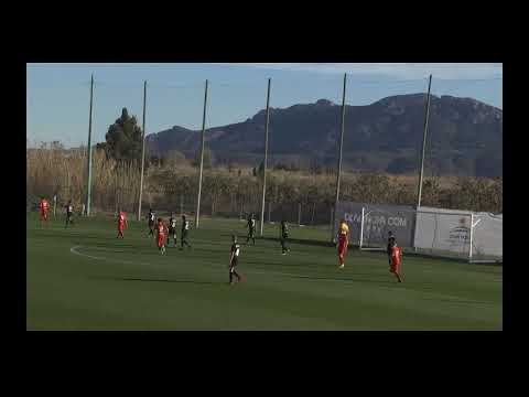 Livestream: FC Nordsjælland - FC Flyeralarm Admira