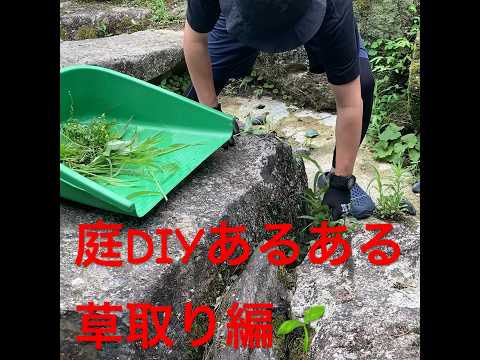 庭の幼虫を駆除するにはどうすればよいですか？何が彼らを惹きつけるのでしょうか？  庭園