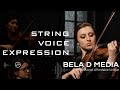 Video 2: String Voice Expression Score