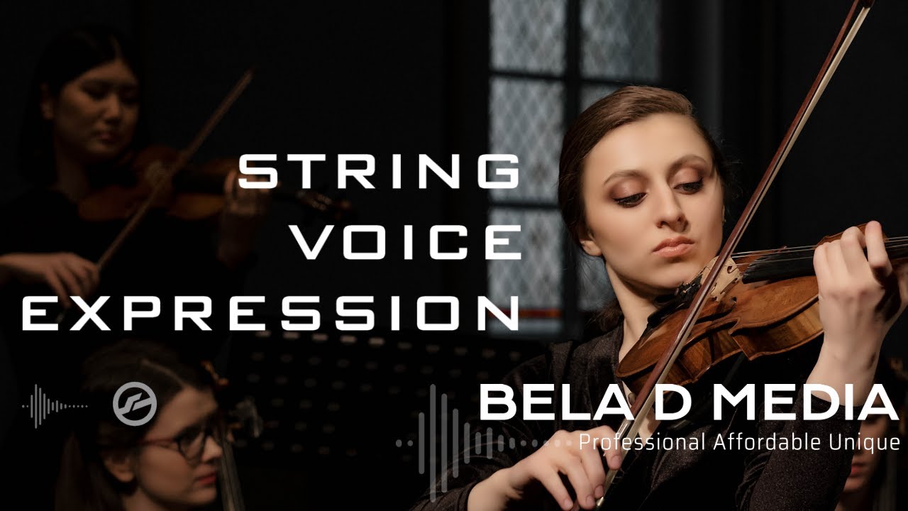 Bela D Media | Voices for Kontakt | String Voice Expression Score