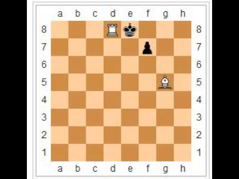 Nazivi i vrste postojećih  šahovskih matova (26 -29)  # 822