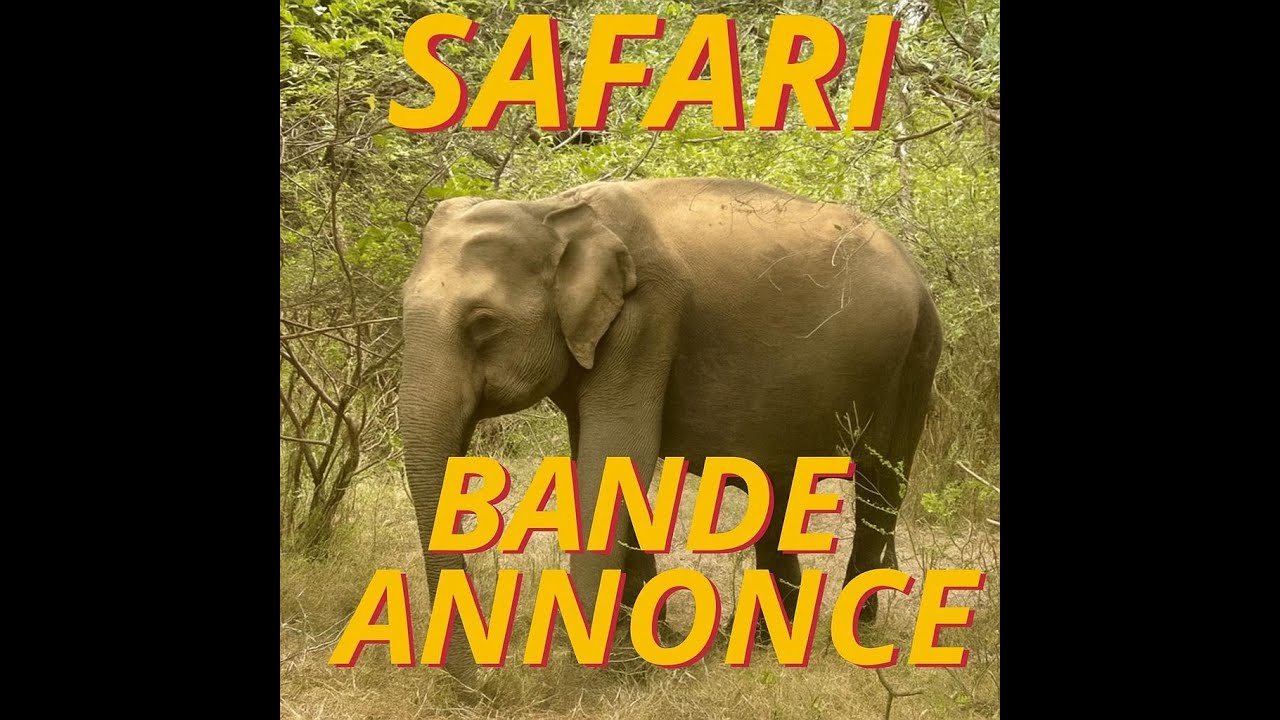Bande annonce Safari