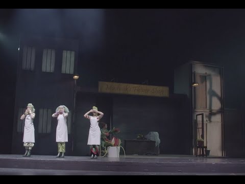 Theater Ulm Trailer – »Der kleine Horrorladen«