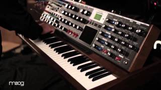 Video thumbnail for Richard Vogel of Galactic meets the Minimoog Voyager XL by Moog Music