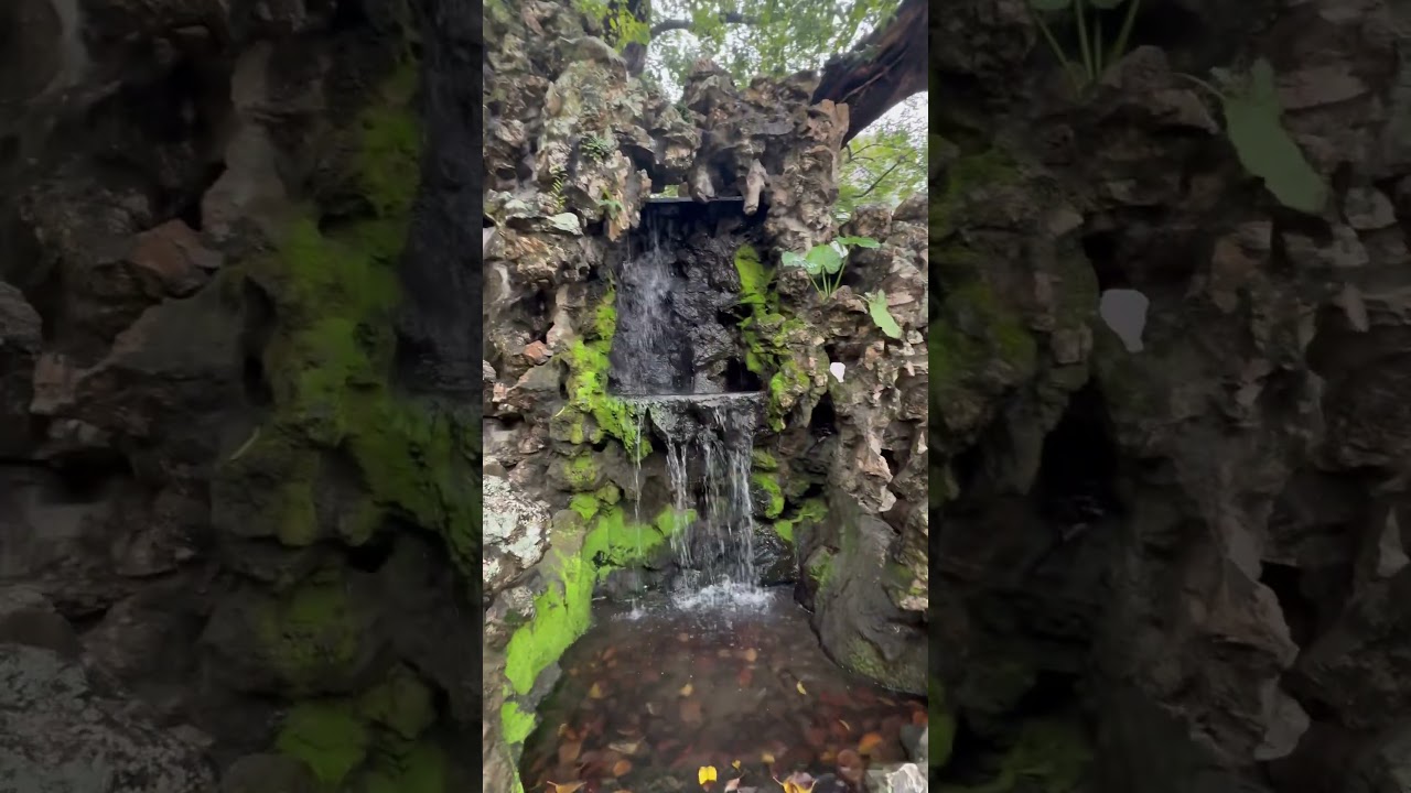 YouTube Short thumbnail