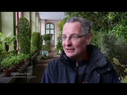Ein Blick hinter die Kulissen der Orangerie Belvedere