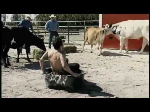 jackass number two trailer