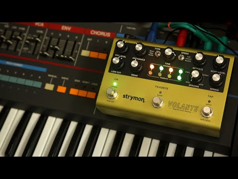 My New Favorite Delay // Strymon Volante