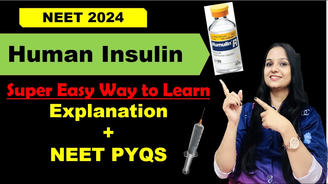 Genetically Engineered Insulin |  Biotechnology and Its Applications #class12biology #neet2024