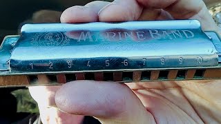 New Year, New Harmonica – The Ultimate Blues Harp Beginner Video