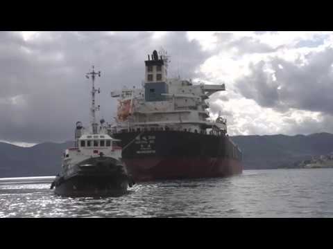 Port of Rijeka - Terminal Škrljevo