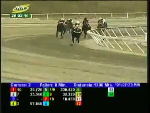 Carrera Comun 2016 - Pregonera