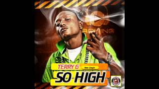 Terry G - So High