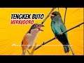 Masteran Tengkek Buto Werkudoro Jernih Jeda Mudah Ditiru