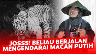 Download lagu JOKO KENDIL | MACAN PUTIH ❓❗😰 JALANNYA EMANG CEPET BANGET, APAKAH...❓❓❓ mp3