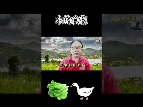 屬木的食物