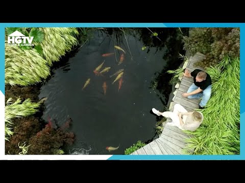 W jego stawie pływają KARPIE! 🐟 | Nowa Maja w ogrodzie