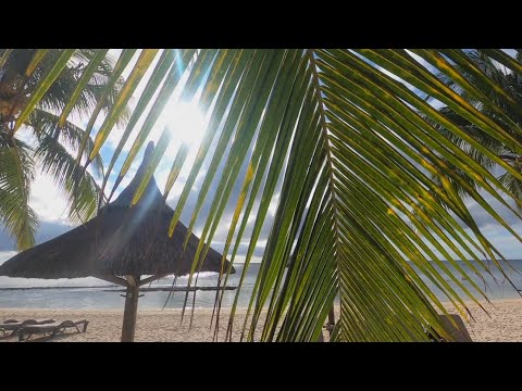 Mauritius Trip 2K20 - Where You Believe in Miracles // Max Elto - Citylights