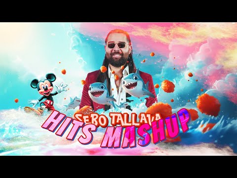 SEBO Tallava - Hits Mashup💥 (Live Versions)