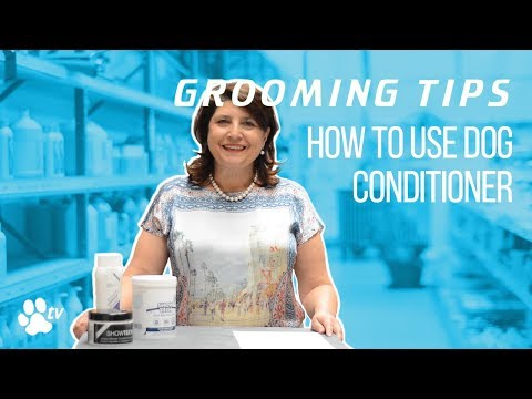 Grooming Tips: how to use dog conditioner | TRANSGROOM