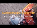 "Lemon Pepper Freestyle" PRK X Lu-Kusa Woe X Dakota North