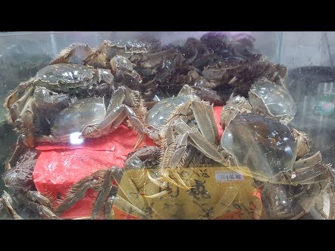 China Expedition Shanghai, lebendes Essen, frittierte Knorpel...