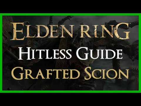 Grafted Scion Hitless Guide