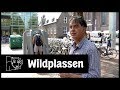 Varkens krijgen citroen bonbonnetje| Man bijt hond