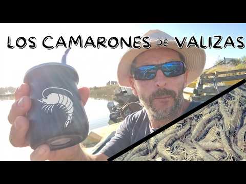 Arroyo Valizas y Laguna de Castillos