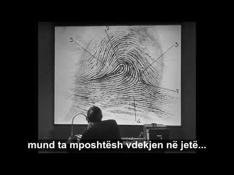 Jeta Jote - Charles Bukowski