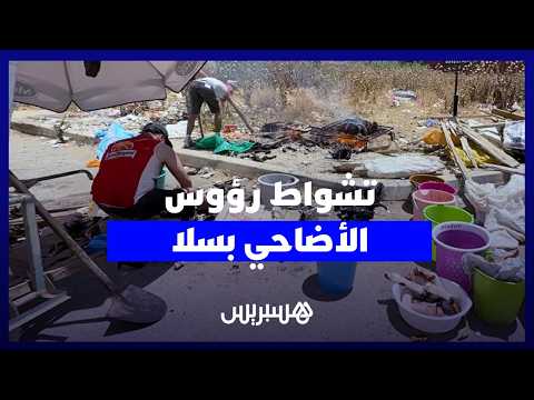 تشييط رؤوس الأضاحي بسلا 
