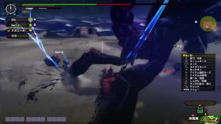 ［MHFZ］初見アクラ・ヴァシムをしばいてきた！