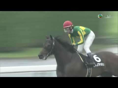 2018 Uchibo Stakes - Satono Hache (里見利斧) - A.Tsumura