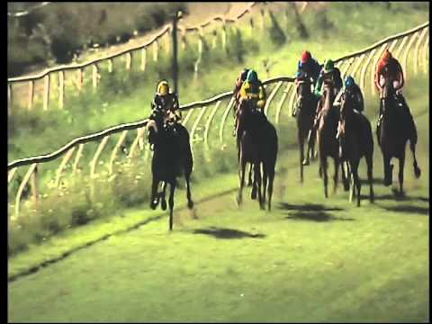 Galoppo 22/07/2015 - 5° corsa