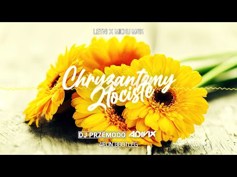 LETNI x Michu M4K - Chryzantemy Złociste (Dj Przemooo & Adivix 4fun Bootleg)
