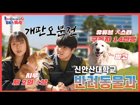 기본썸네일이미지